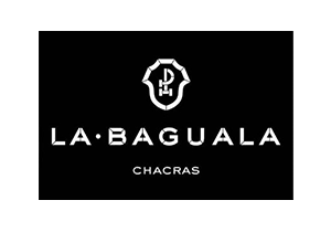 logo_0016_labaguala